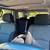 2007 Toyota 4Runner V8 SR5 Sport Edition 4WD 14 thumbnail