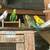 Parakeets $20 each 2 thumbnail
