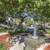 Your Modern Living Sanctuary in Morgan Hill 6 thumbnail