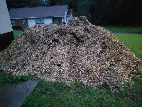 Free mulch 1