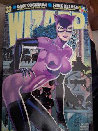 Wizard  33  cat lady 1