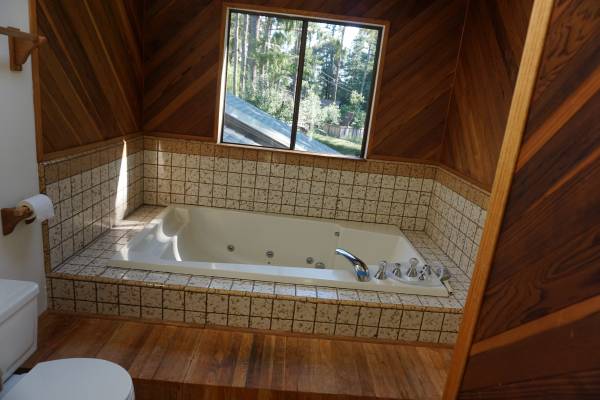 $2,300 / 1br - 835ft2 - Creative, unique, large 1 bedroom studio, full bathroom (santa cruz)63933766595202123