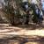 1 acre ranch lot available🐎 2 thumbnail