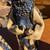 Awesome vintage art pottery 3 wisemen Nativity candle holders B70 4 thumbnail