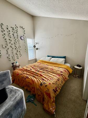 $1,950 / 1br - 715ft2 - 1Bedroom Loft Apt, Gated Community (santa rosa)64055523246210124