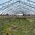 ONLINE AUCTION - 22.87 Acres, Outbuildings & a Pond 9 thumbnail