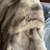 Mink Stole Wrap 2 thumbnail