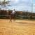 Horseback Riding Lessons 13 thumbnail