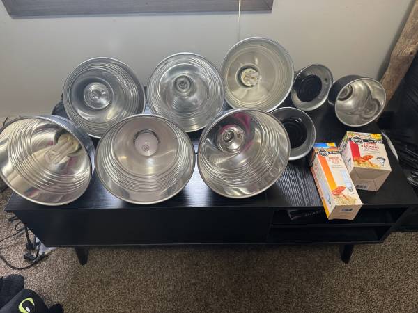 Reptile Light Fixtures (Struthers)63661209712385121