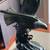 Bald Eagle by Terrance Patterson 1 thumbnail