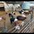 Feeder Pigs 9 thumbnail