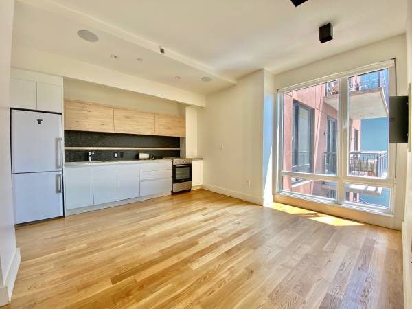 Clinton Hill / Prospect heights - Luxury 1 Bedroom - Laundry - Gym — photo 1 of 12