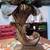 Pair of 2 Ceramic Cornucopia Fall Artificial Arrangement Table Decor A 1 thumbnail