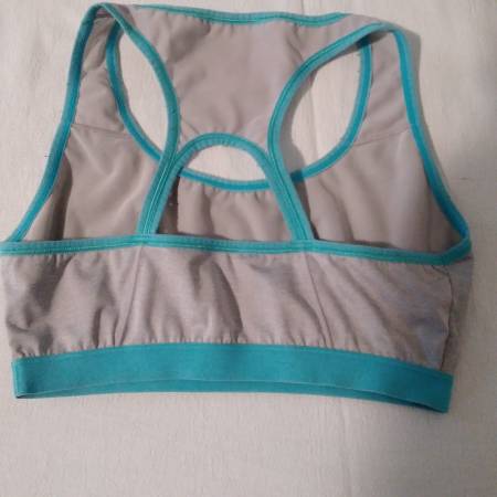 New, Never Worn. Women's Danskin Now Gray and Blue Sports Bra Size: XL - $15 (NEWCASTLE)62946979267459121