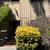 Furnished Condo 3 bedroom 2 baths 19 thumbnail