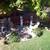 Share 5 BR House - $1200 / mo 8 thumbnail