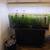 55 Gallon Acrylic Planted Tank 1 thumbnail