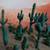 HO or S scale model landscaping for diorama or train layout 1 thumbnail
