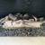 30" & 24" natural gas fire log set, used, in good condition 1 thumbnail