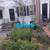 "Arturo" Landscaping 9 thumbnail