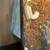 Pythons and geckos for rehoming 2 thumbnail