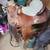 Mclite western saddle 1 thumbnail
