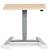 Maple Trendway Sit Stand L Desk 6X5.5/6 Office Desks w/File MSRP $5200 2 thumbnail