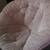 light pink chair 2 thumbnail
