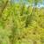 2.46 Acres – Builder/Developer Special 9 thumbnail