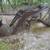 Wagnor Loader 1 thumbnail