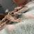 Rehoming a bearded dragon 5 thumbnail