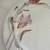 Silver China 10" Dinner Plate Made in Occupied Japan 4 thumbnail