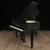Custom Design a Steinway - Free Shipping & 20 Year Warranty 11 thumbnail