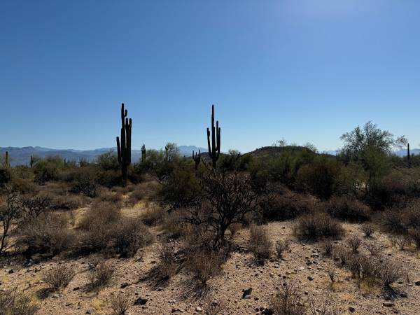 Build Your Dream Home Here!! 1