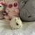 Netherland Dwarf Bunny Bunnies Rabbit 6 thumbnail