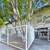 Ceiling Fan(s) - Refrigerator - Spacious 2+1 in North Hollywood 14 thumbnail