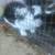Bunny 2 thumbnail