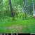 Maine-Pristine 9.5 Ac Cobscoot Bay with 565' Bay frontage 17 thumbnail