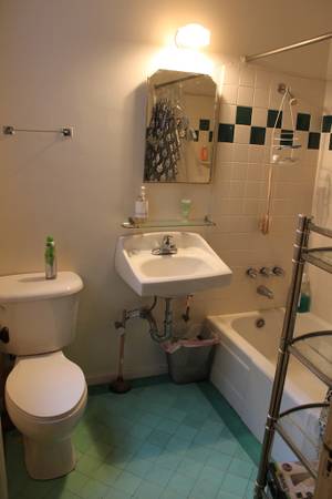 $2,545 / 1br - Remodeled, 1BR Alamo Square Park, View (alamo square / nopa)63470723651971124