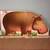 Hippo & Pals Kangaroo & Co Giant Animal Fold-Outs 12 x11.75in. Book 4 thumbnail