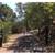 Room for rent in Colonial Home on 2 acres 5 thumbnail