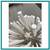 Arteriors Tilda White Chandelier, Small 9 thumbnail