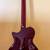 Johnson Delta Rose 2020s Hollowbody Guitar - New 5 thumbnail