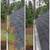 🌧️ Gutter Cleaning – Best Prices in Chicagoland! 🌧️ 6 thumbnail