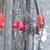 Tirreno Razza 1000 Alloy Road Bike, Carbon Stays, Carbon Fork - 58cm 4 thumbnail
