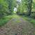 Beautiful mountain like acreage with mountain stream 2 thumbnail