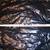 1 Iron Maiden logo Concert Tour New DRUM STICK Drumstick 2 thumbnail