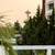 Inviting 2 BR-Washer/Dryer, Rooftop BBQ, Bike Storage! 4 thumbnail