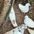 For sale mixed healthy pigeons $10 each 1 thumbnail