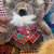 Teddy Bear Collection 50 Teddy Bears USED AS DISPLAY ONLY 9 thumbnail
